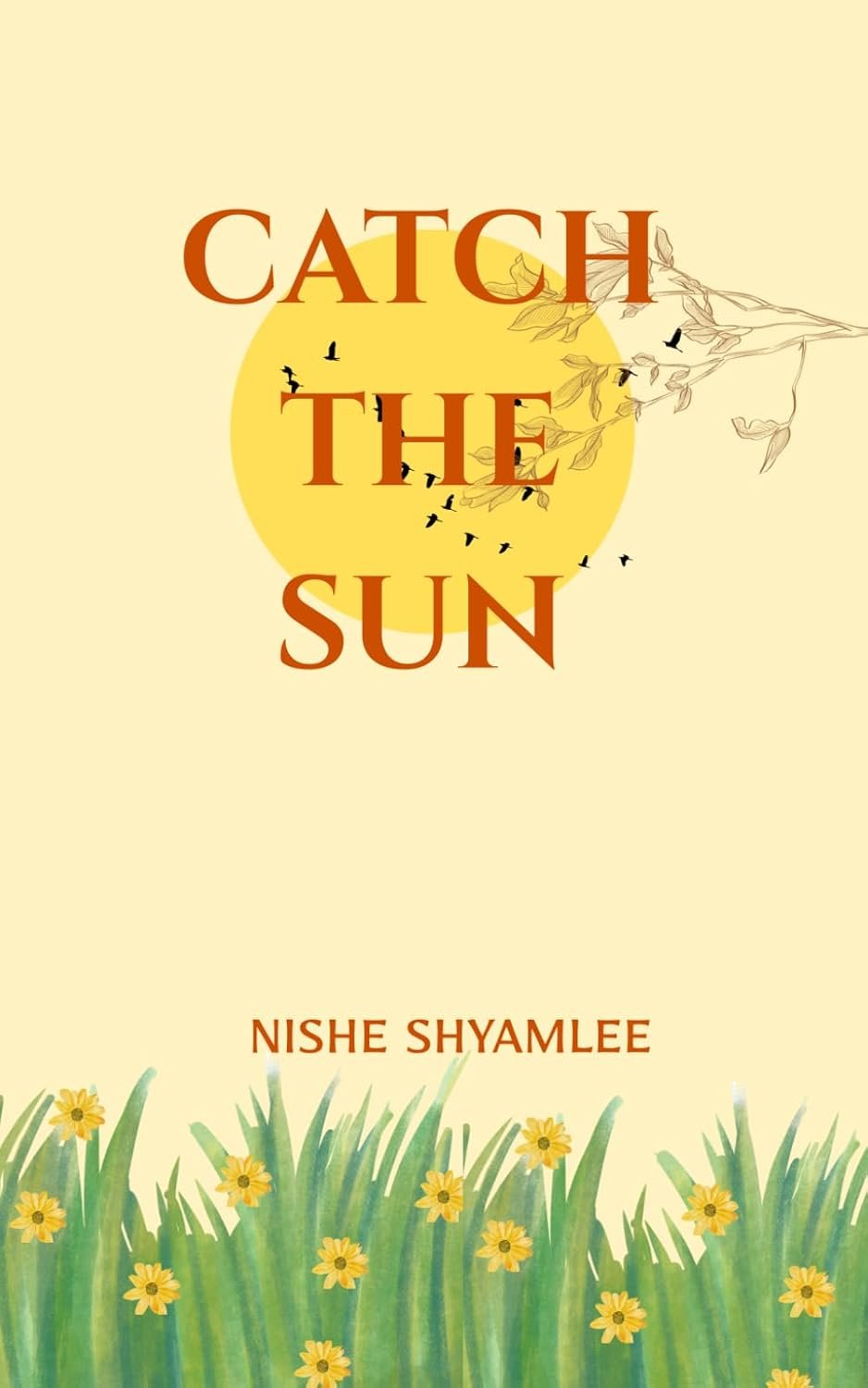Catch the Sun