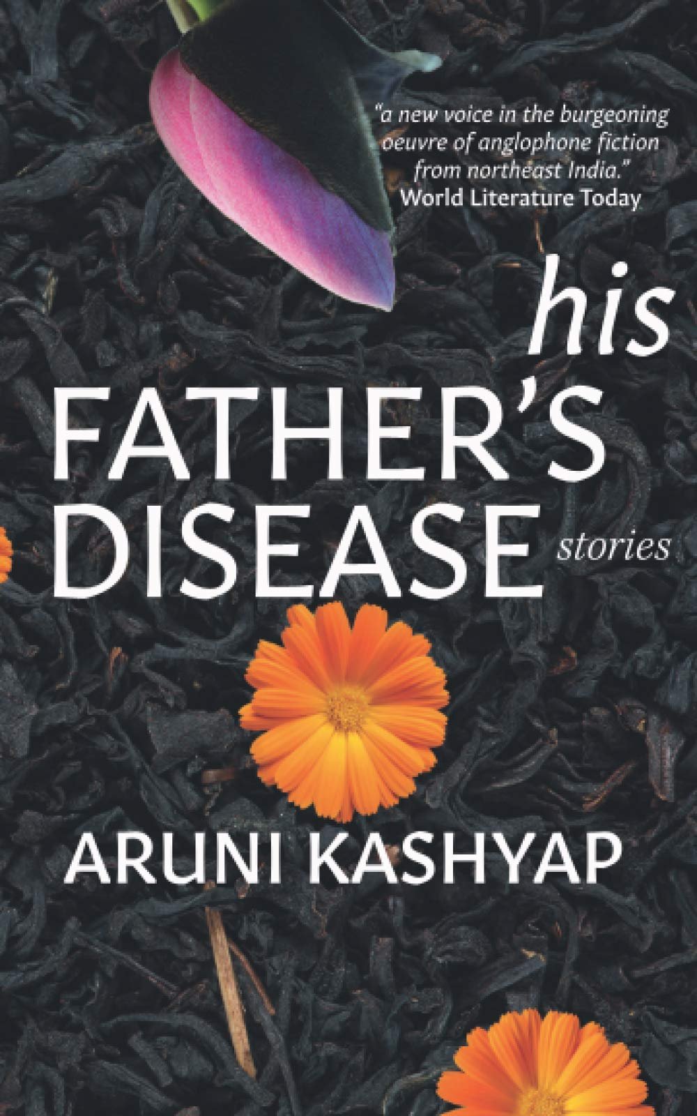 His Father's Disease: Stories