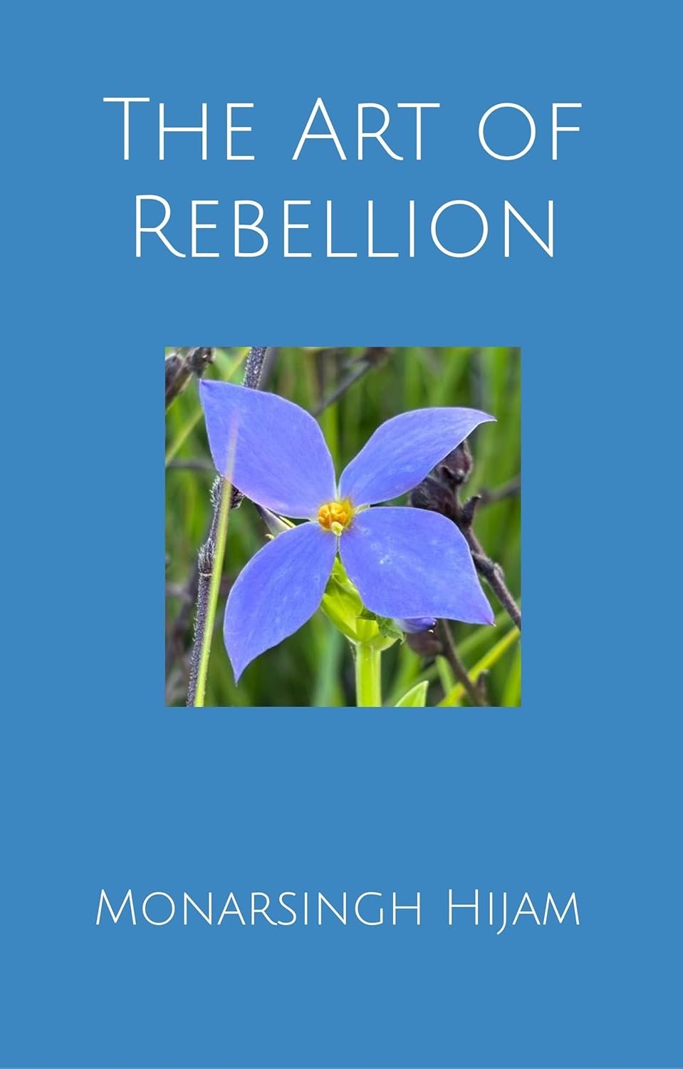 The Art of Rebellion (The Weeping Gods of Manipur Book 8)