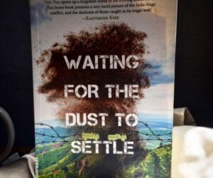 Review: Waiting for the Dust to Settle by Veio Pou